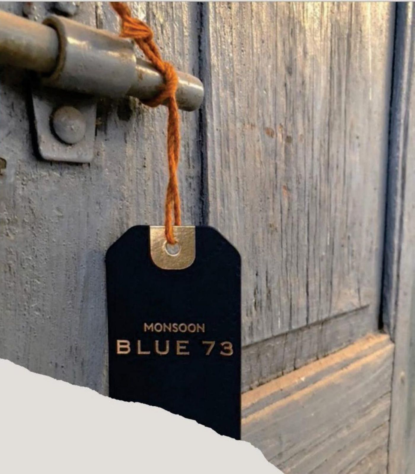 Monsoon Blue 73 hangtag with gold foil